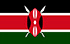 TGM Панел За Заработка в Кения