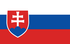 TGM Surveys за печелене на пари в Словакия