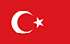 TGM Surveys за печелене на пари в Турция